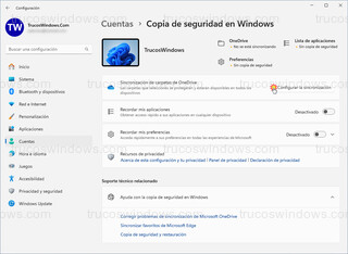 Copias de seguridad en Windows - Configurar la sincronización