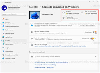 Copias de seguridad en Windows - Detener copia de seguridad